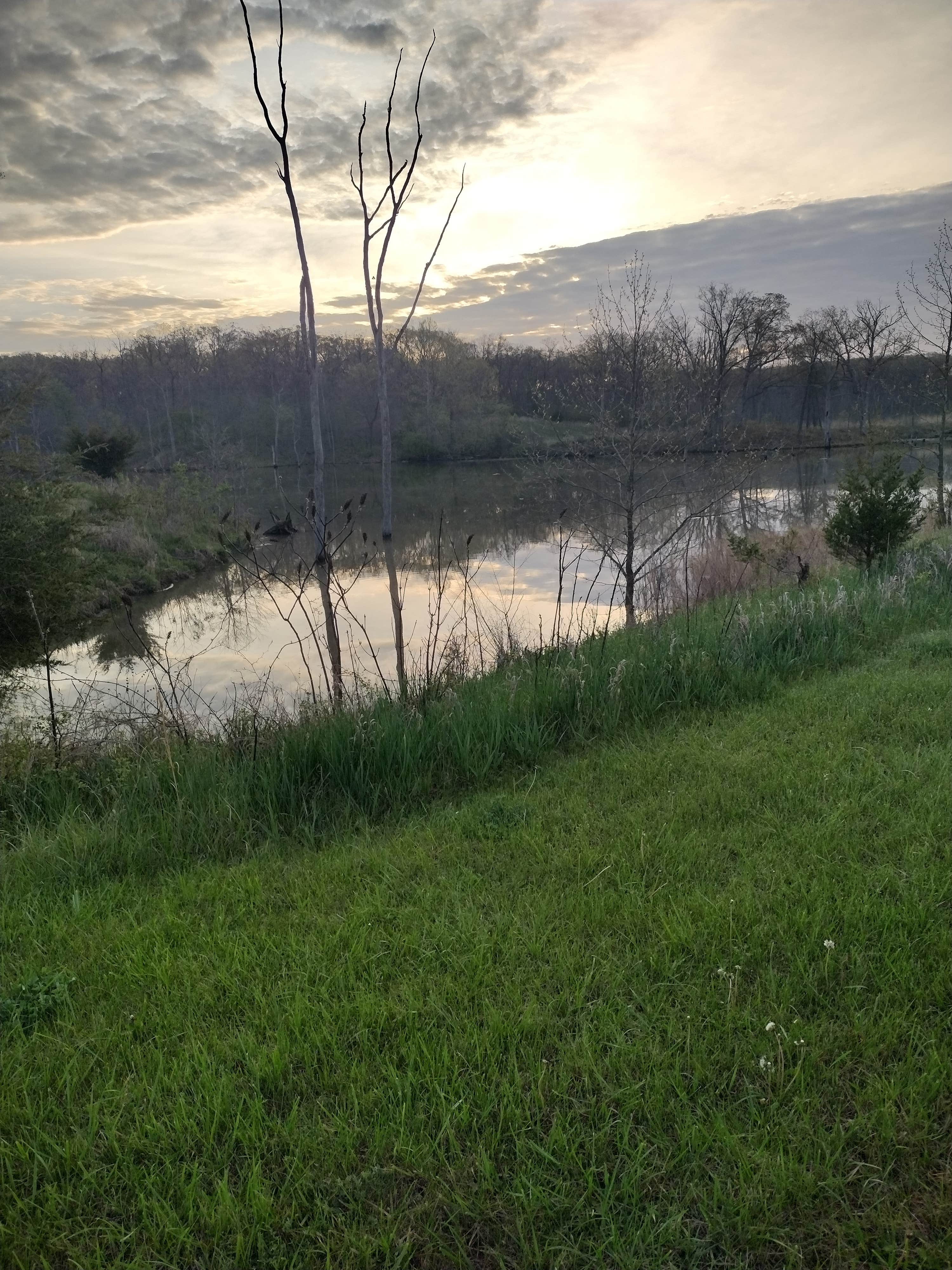 Camper-submitted photo at Rudolf Bennitt Conservation Area near Nelson, MO