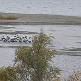 Review photo of Rufus gravel pit by Debby S., October 23, 2026