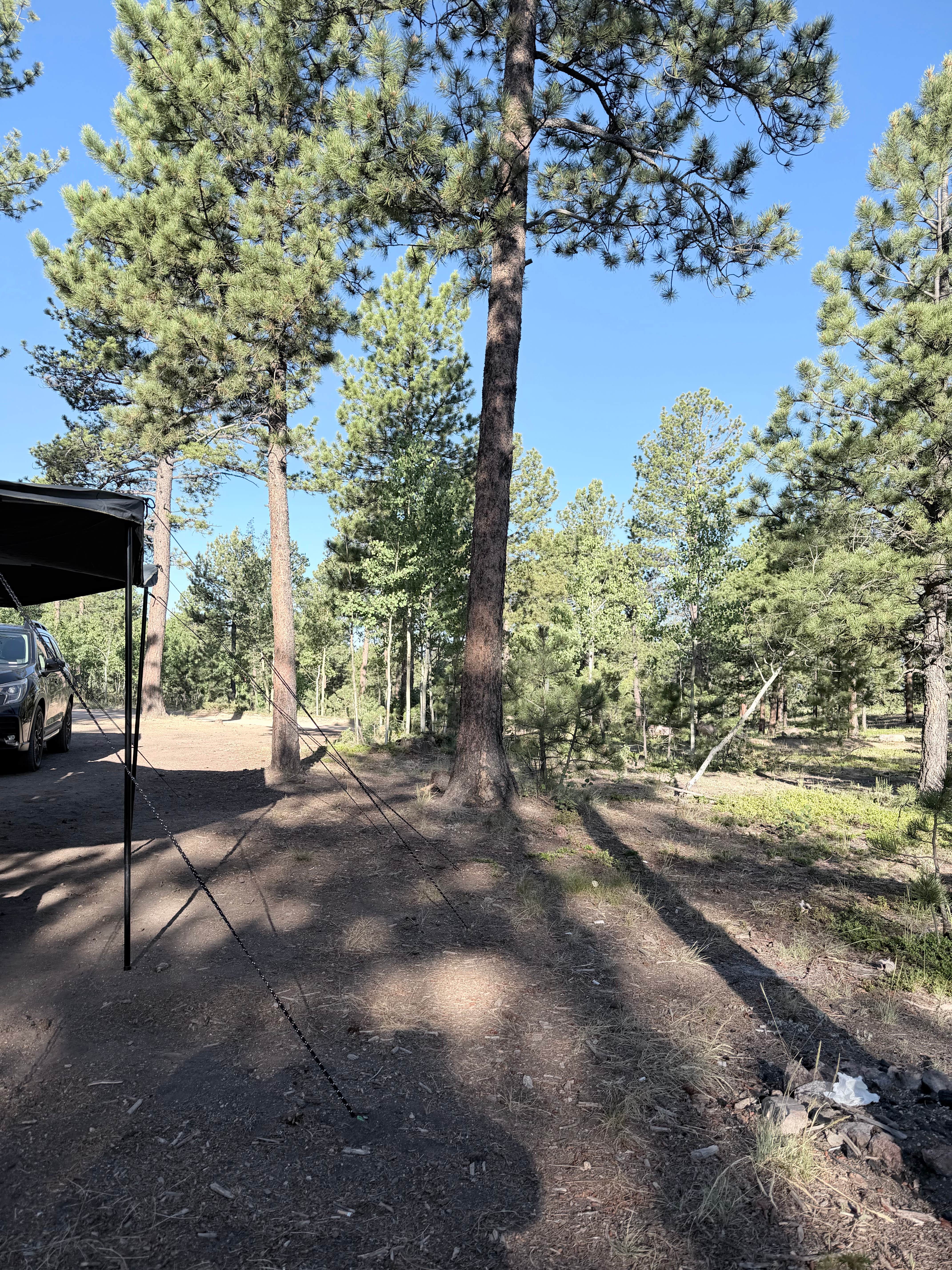 Jorie B.'s photo at Rule Ridge Trailhead near Florissant, CO