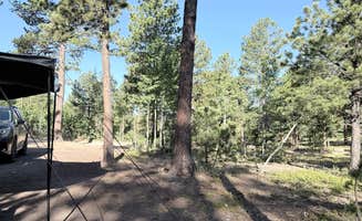 Jorie B.'s photo at Rule Ridge Trailhead near Divide, CO