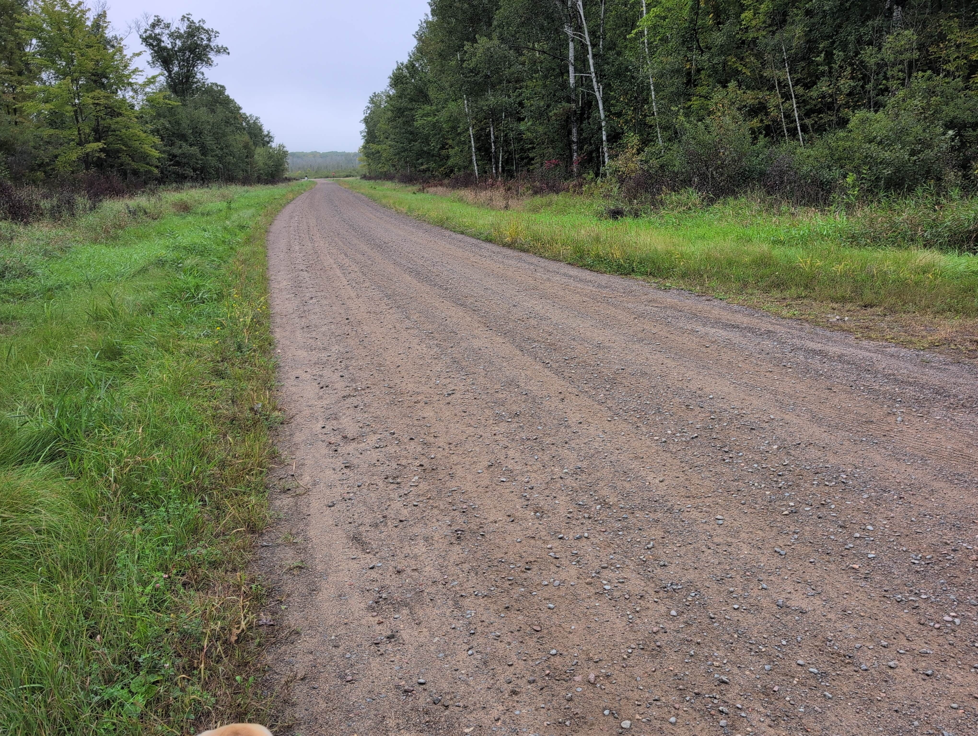 Camper-submitted photo at Rum River State Forest near Otsego, MN