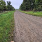Review photo of Rum River State Forest by Rick M., September 12, 2025
