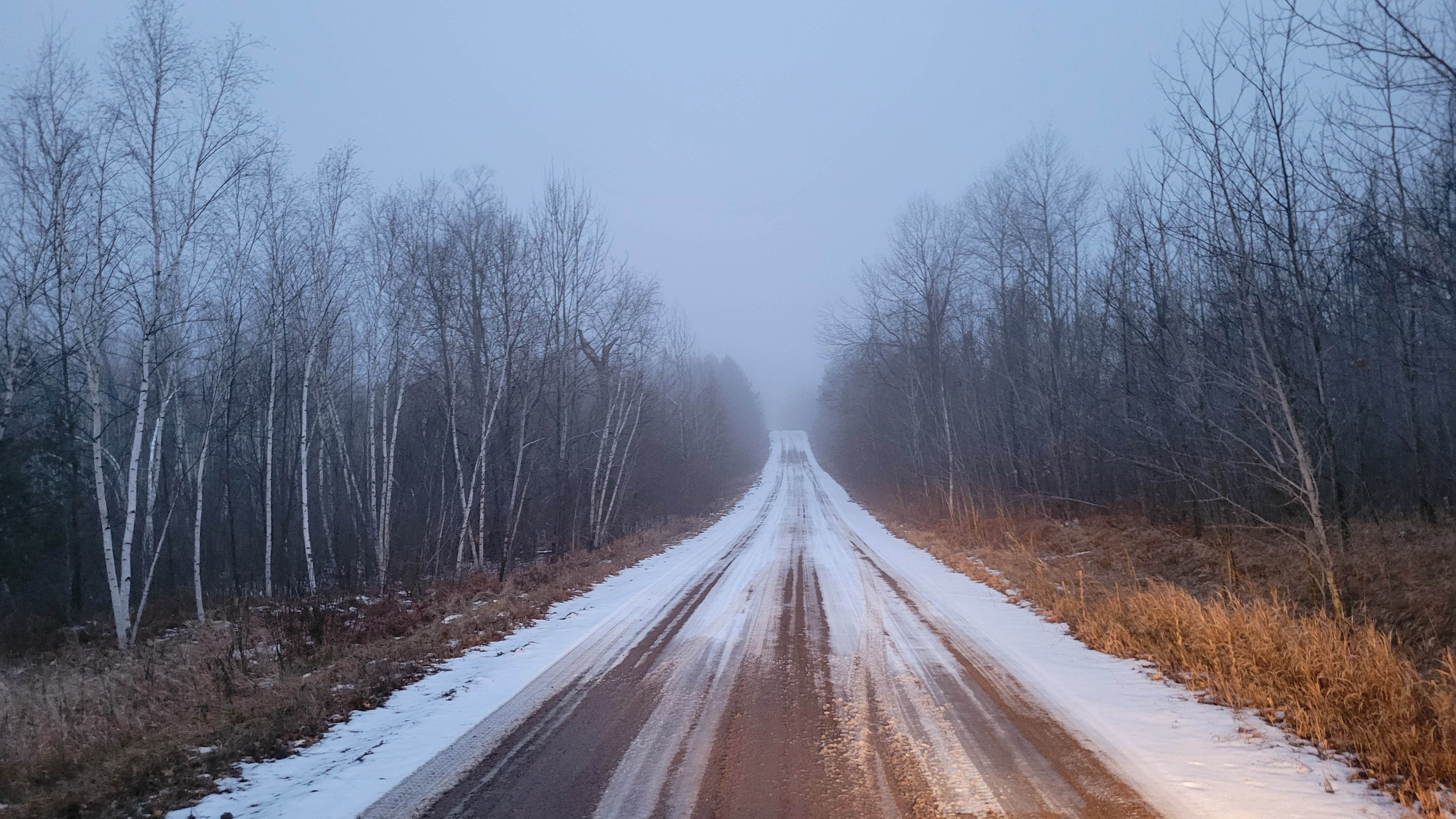 Camper submitted image from Rum River State Forest - 3