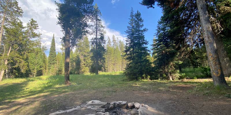 Camper submitted image from Rumbaugh Ridge Desginated Dispersed