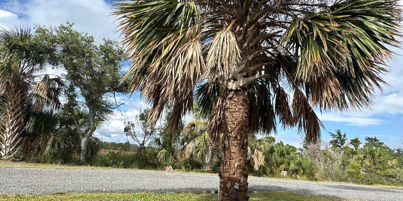 Camper submitted image from Camp Runamuck