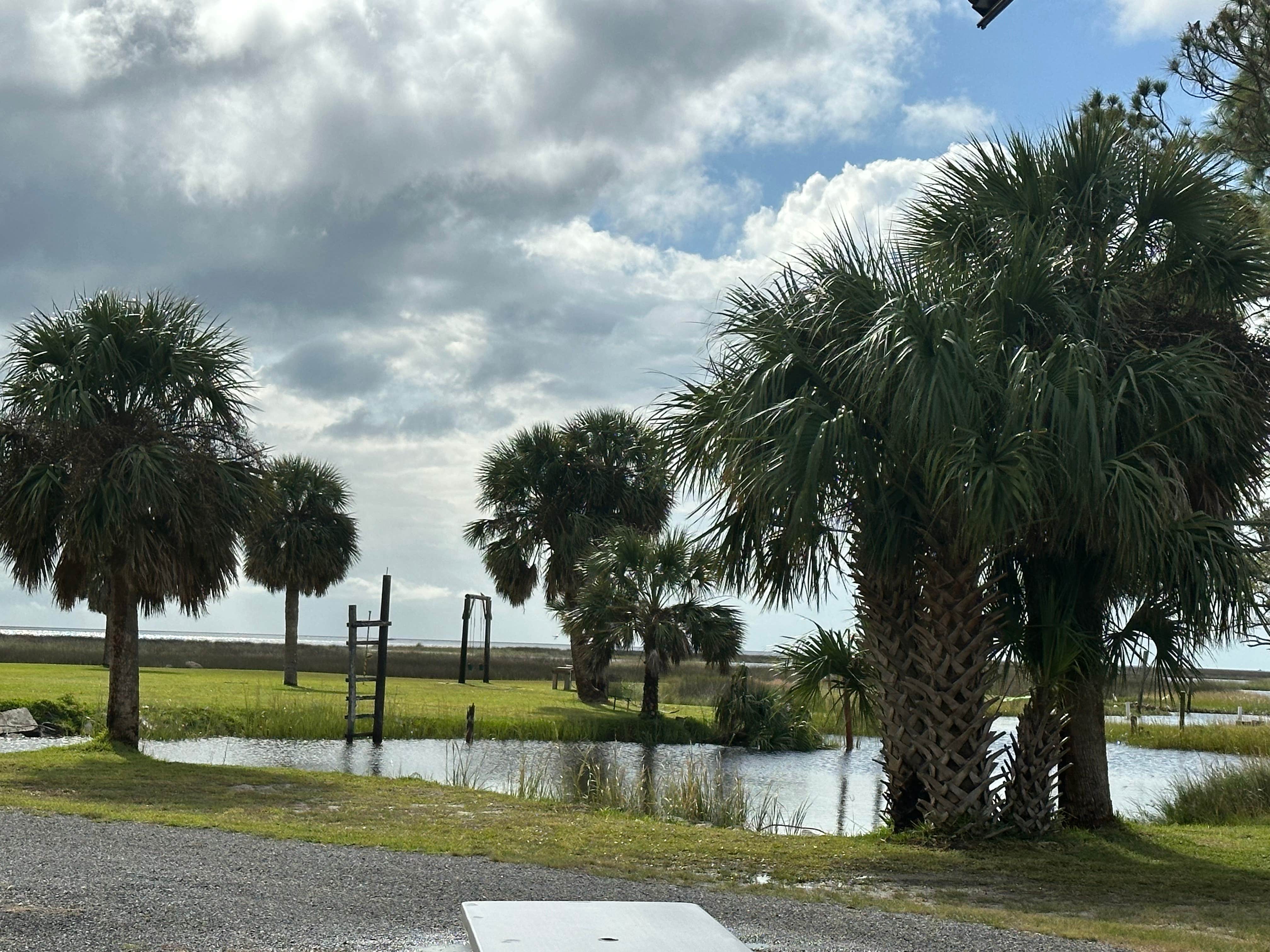 Camper-submitted photo at Camp Runamuck near Steinhatchee, FL