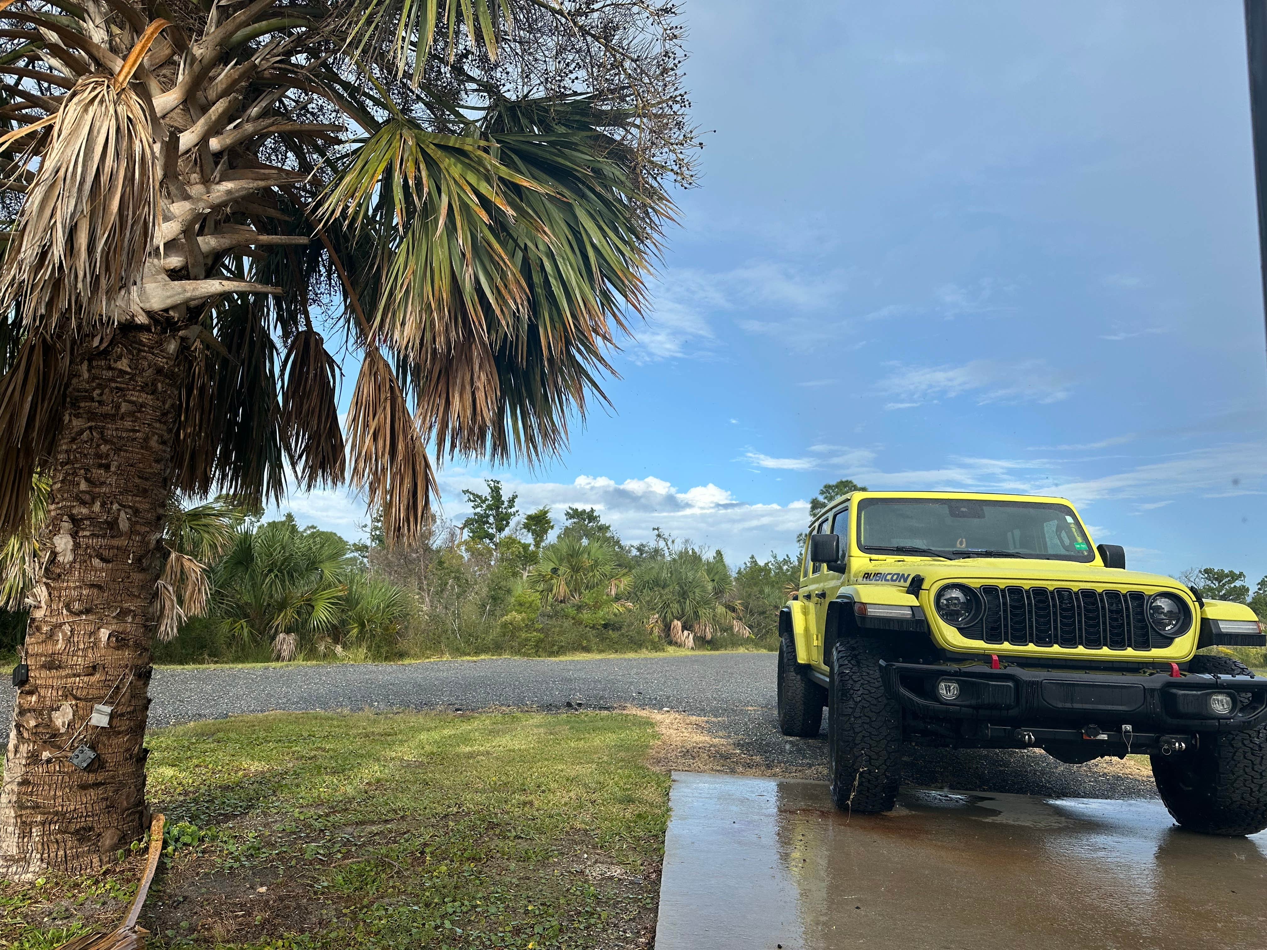 Camper-submitted photo at Camp Runamuck near Steinhatchee, FL