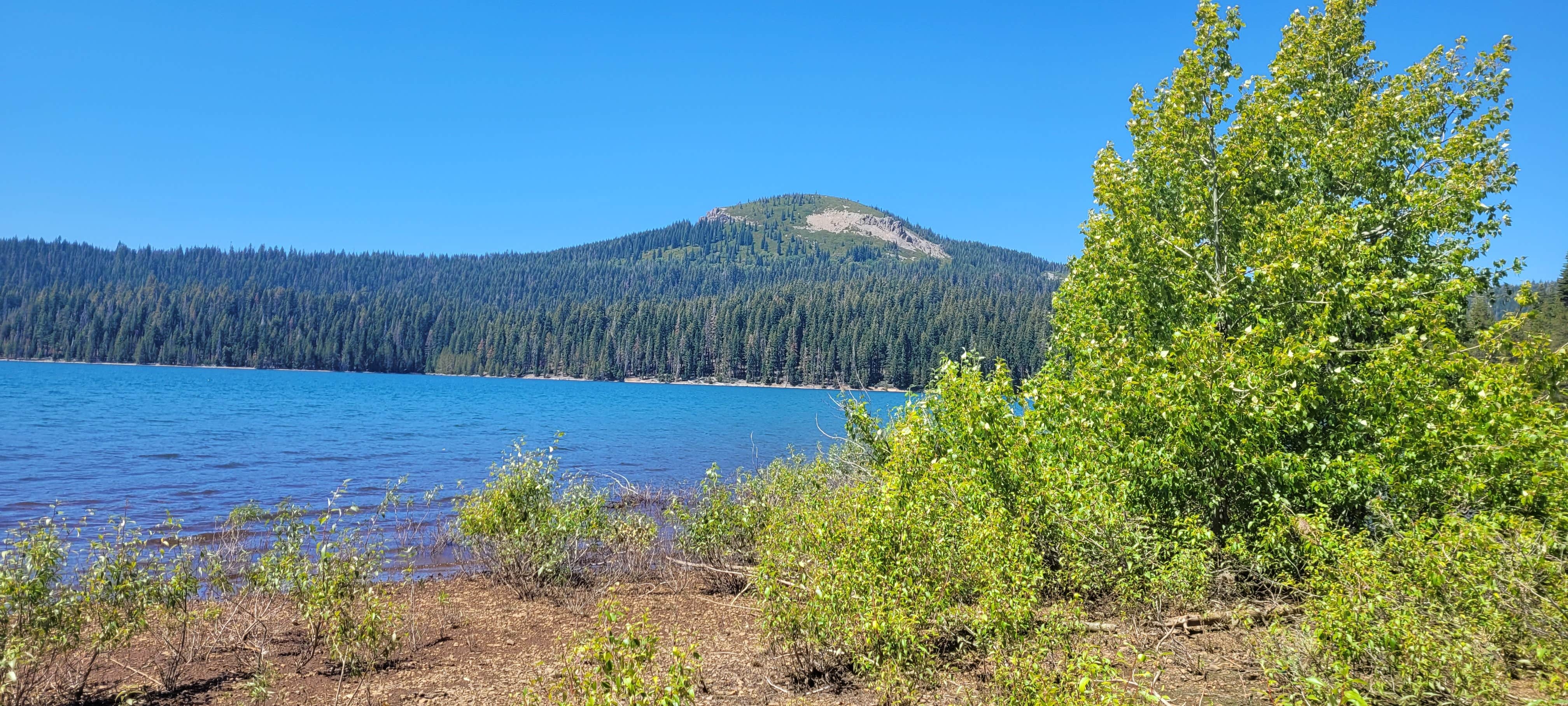 Camper-submitted photo at Running Deer Campground near Plumas National Forest