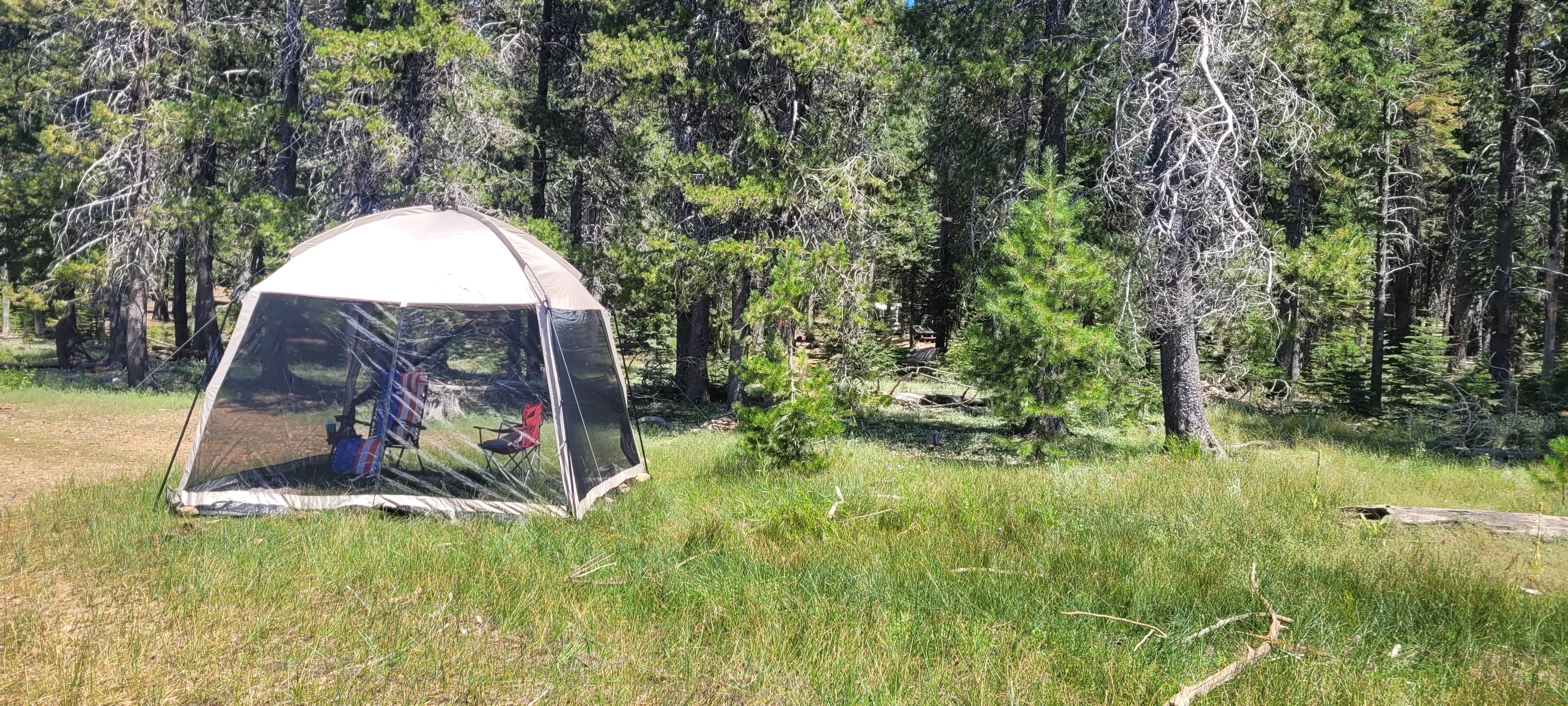 Camper submitted image from Running Deer Campground - 2