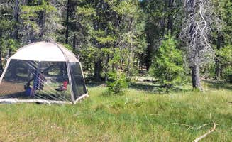 Michael B.'s photo at Running Deer Campground near Plumas National Forest