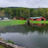Review photo of Russell Brook Campsites by Ryan B., May 6, 2026