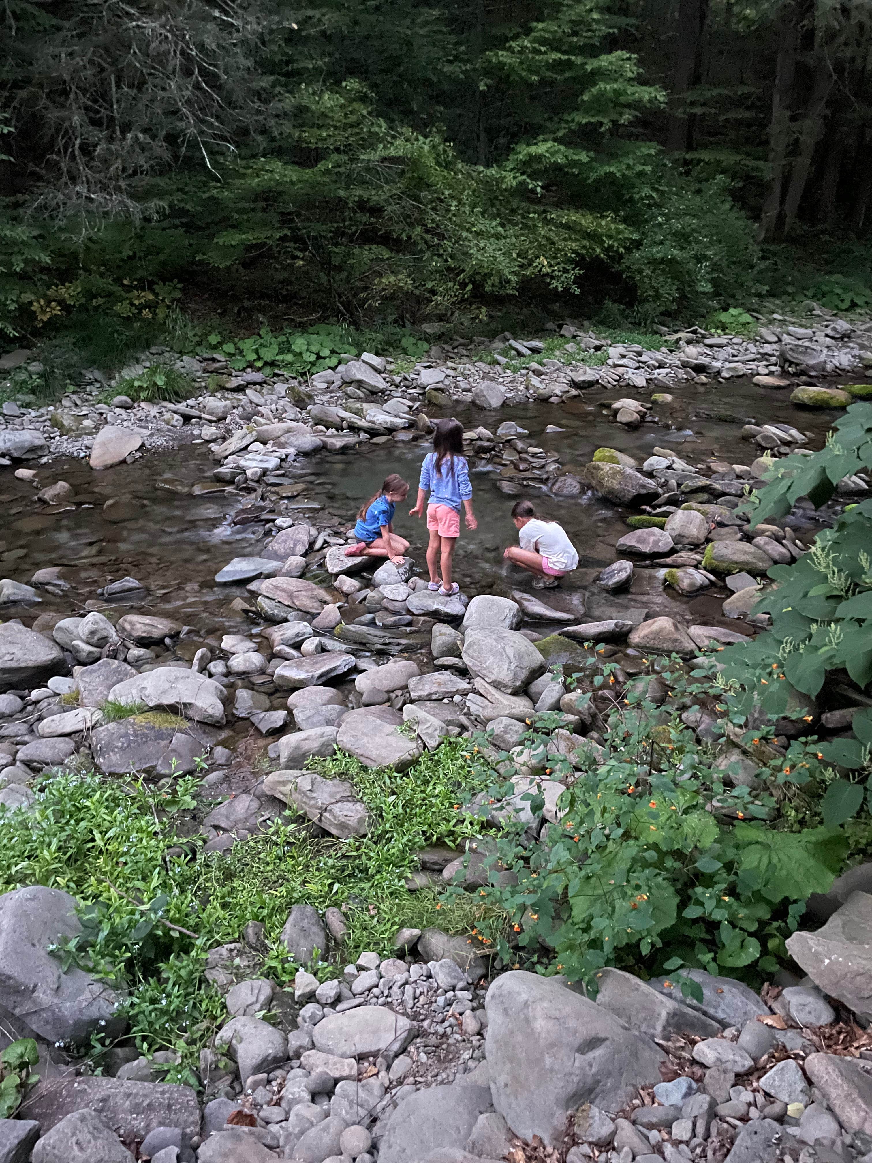 Camper-submitted photo at Russell Brook Campsites near Upper Delaware National Scenic and Recreation River
