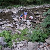 Review photo of Russell Brook Campsites by Ryan B., May 6, 2026