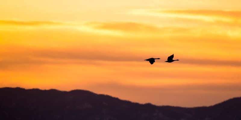 Camper submitted image from Russell Lake Wildlife Refuge