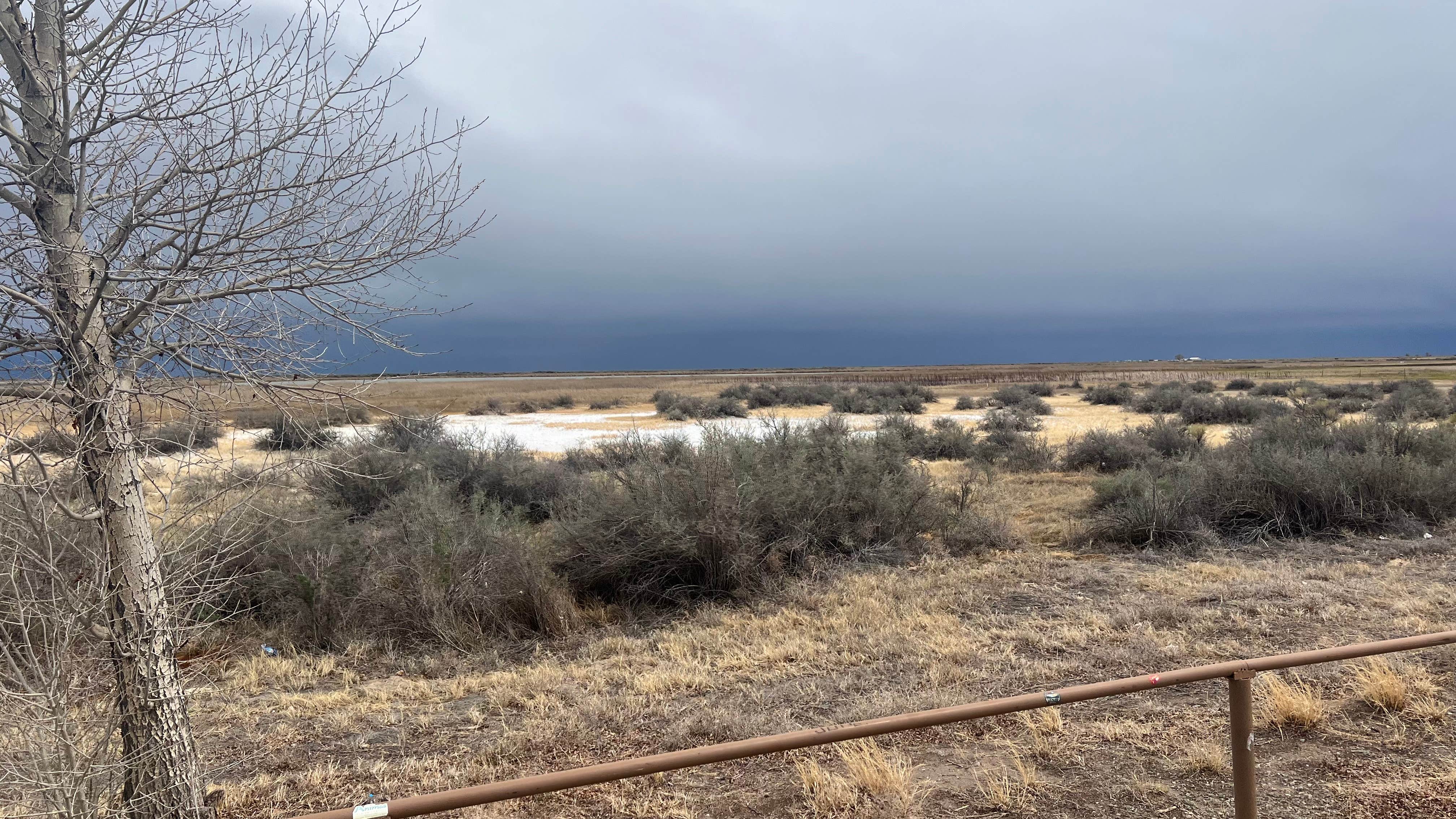 Camper-submitted photo at Russell Lake Wildlife Refuge near Del Norte, CO