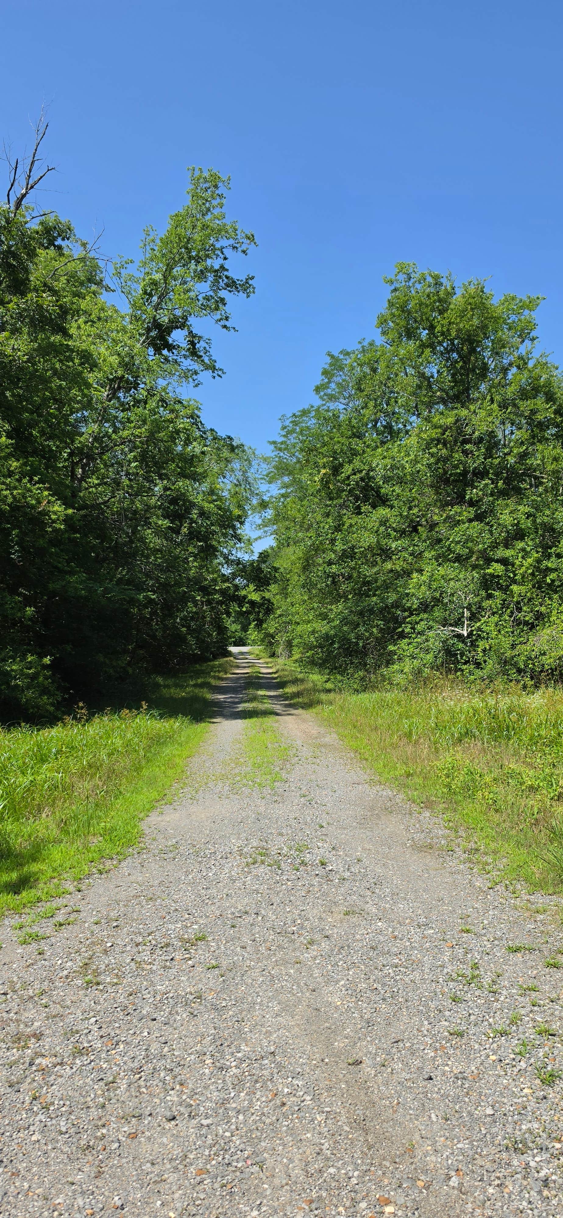 Camper-submitted photo at Russell Sage Wildlife Management Area near Pioneer, LA