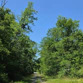 Review photo of Russell Sage Wildlife Management Area by John H., June 2, 2026
