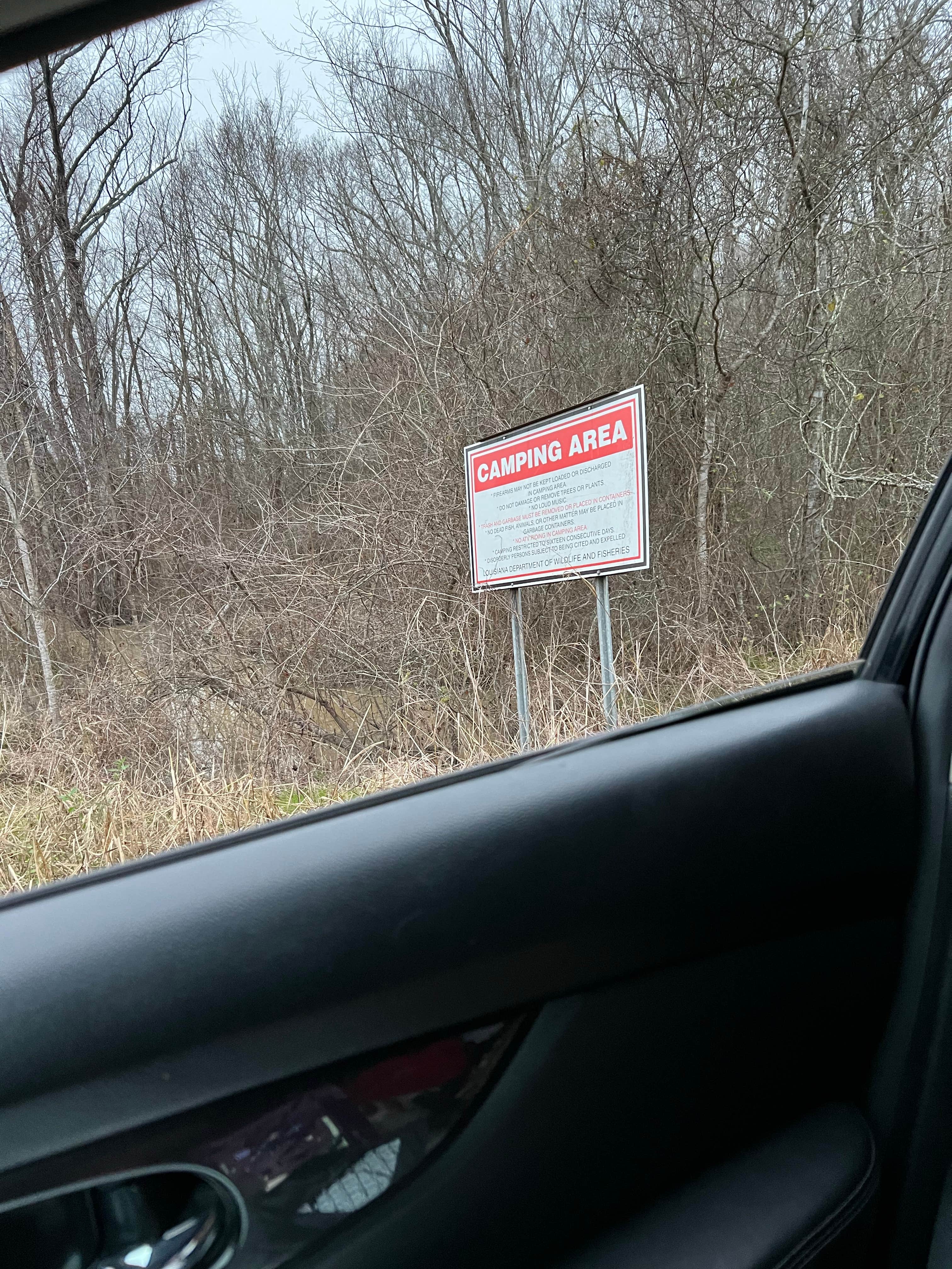 Camper-submitted photo at Russell Sage Wildlife Management Area near Pioneer, LA