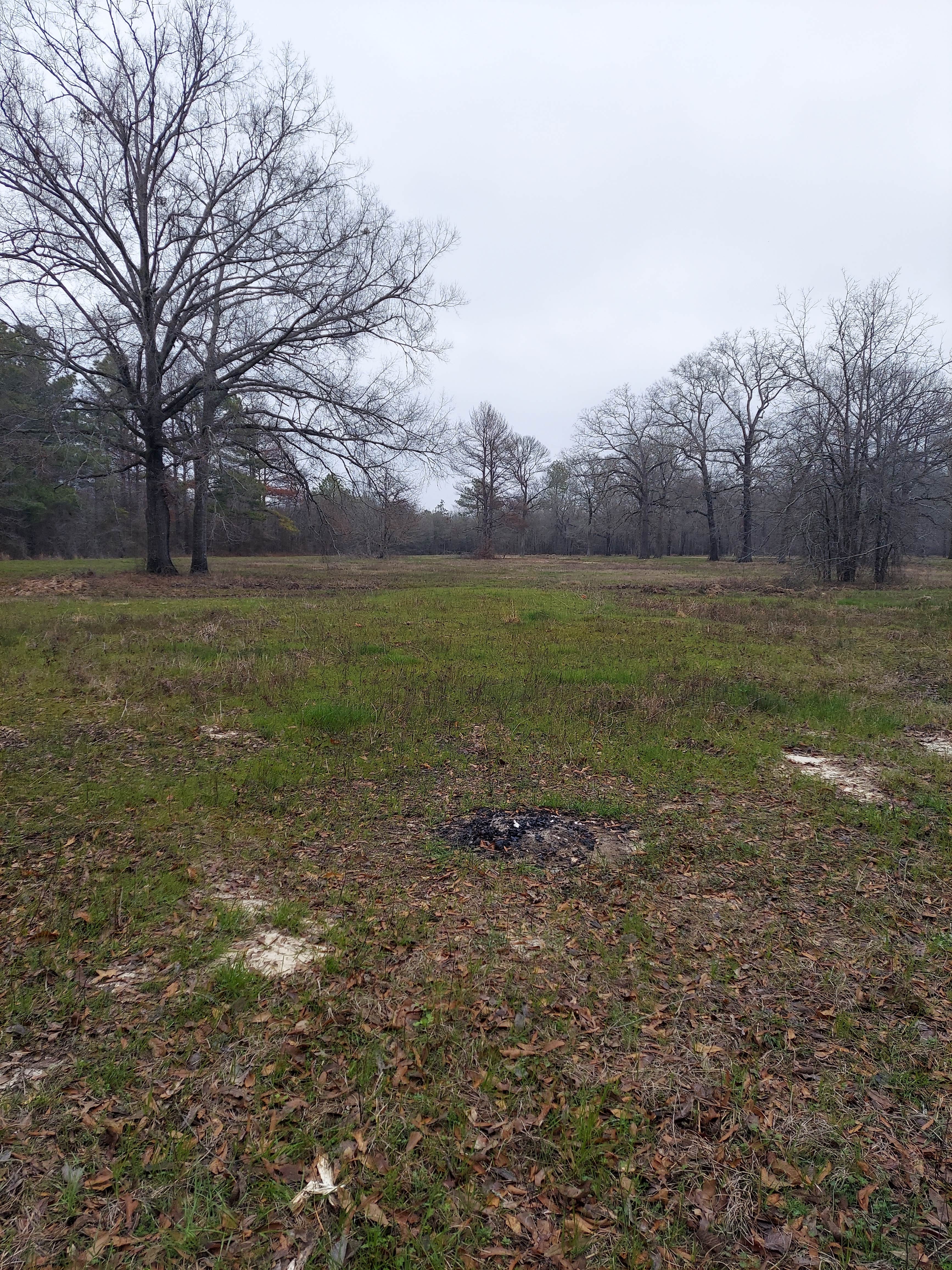 Camper-submitted photo at Russell Sage Wildlife Management Area near West Monroe, LA