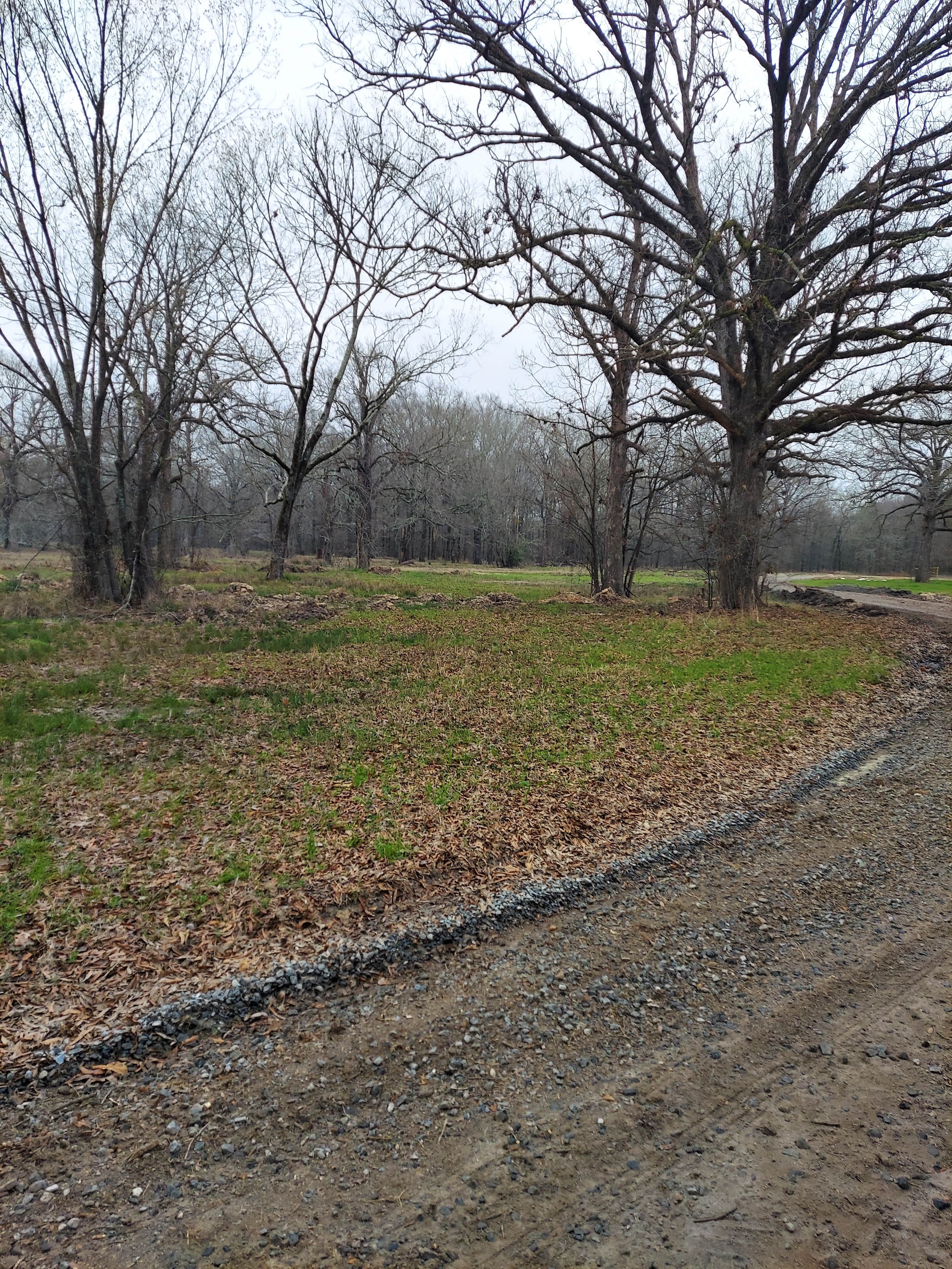 Camper submitted image from Russell Sage Wildlife Management Area - 4