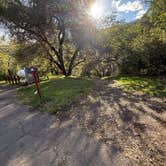 Review photo of Thousand Trails Russian River by Rey R., March 4, 2026