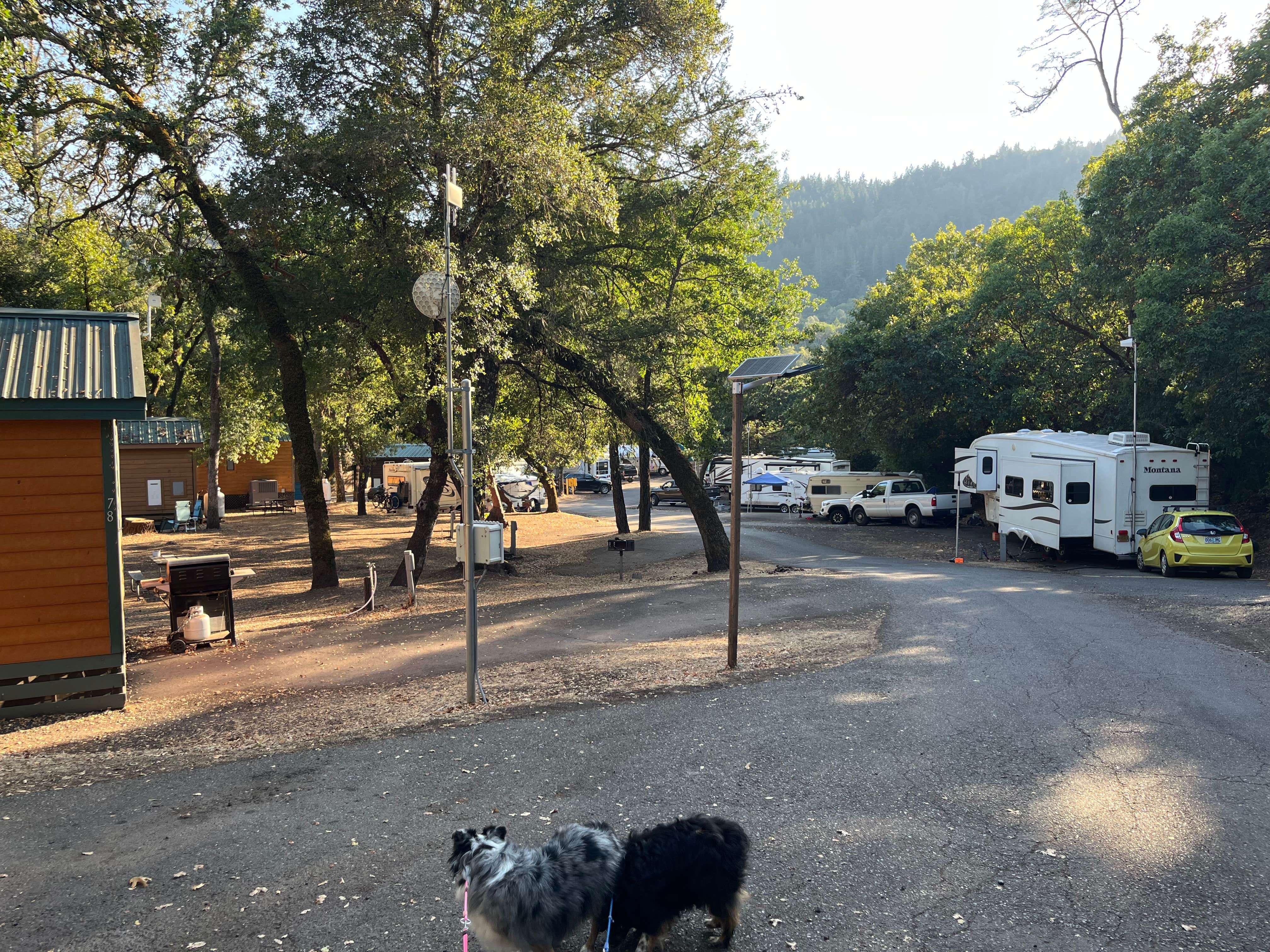 andrew's photo of rv camping at Thousand Trails Russian River near Point Arena, CA