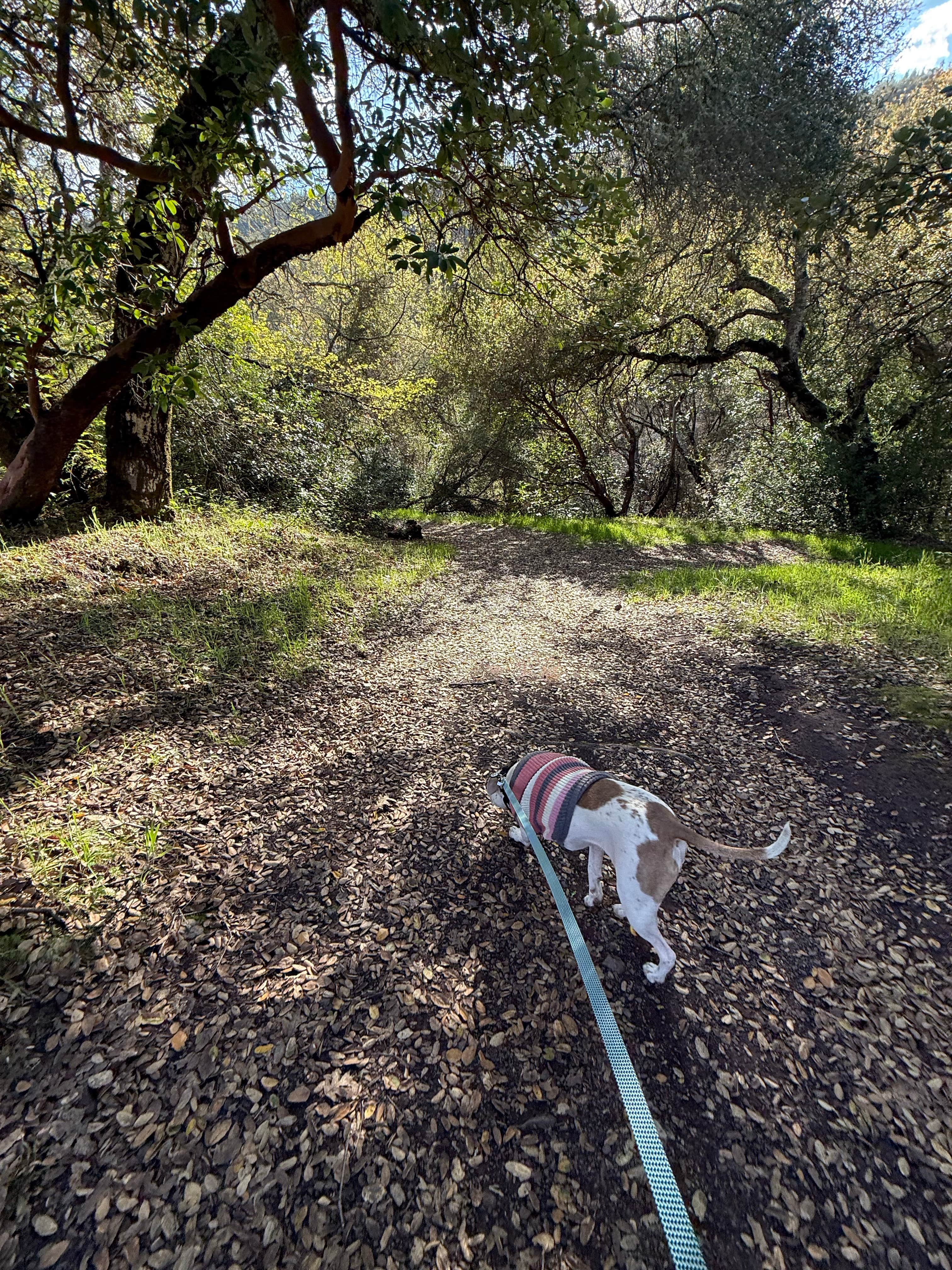 Rey R.'s photo of camping with pets at Thousand Trails Russian River near Cloverdale, CA