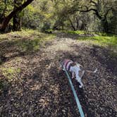 Review photo of Thousand Trails Russian River by Rey R., March 4, 2026