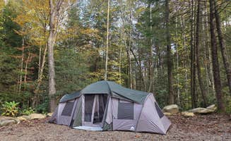 Jessica V.'s photo at Rustling Pines Campground LLC near Berea, KY