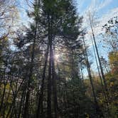 Review photo of Rustling Pines Campground LLC by Jessica V., October 21, 2025