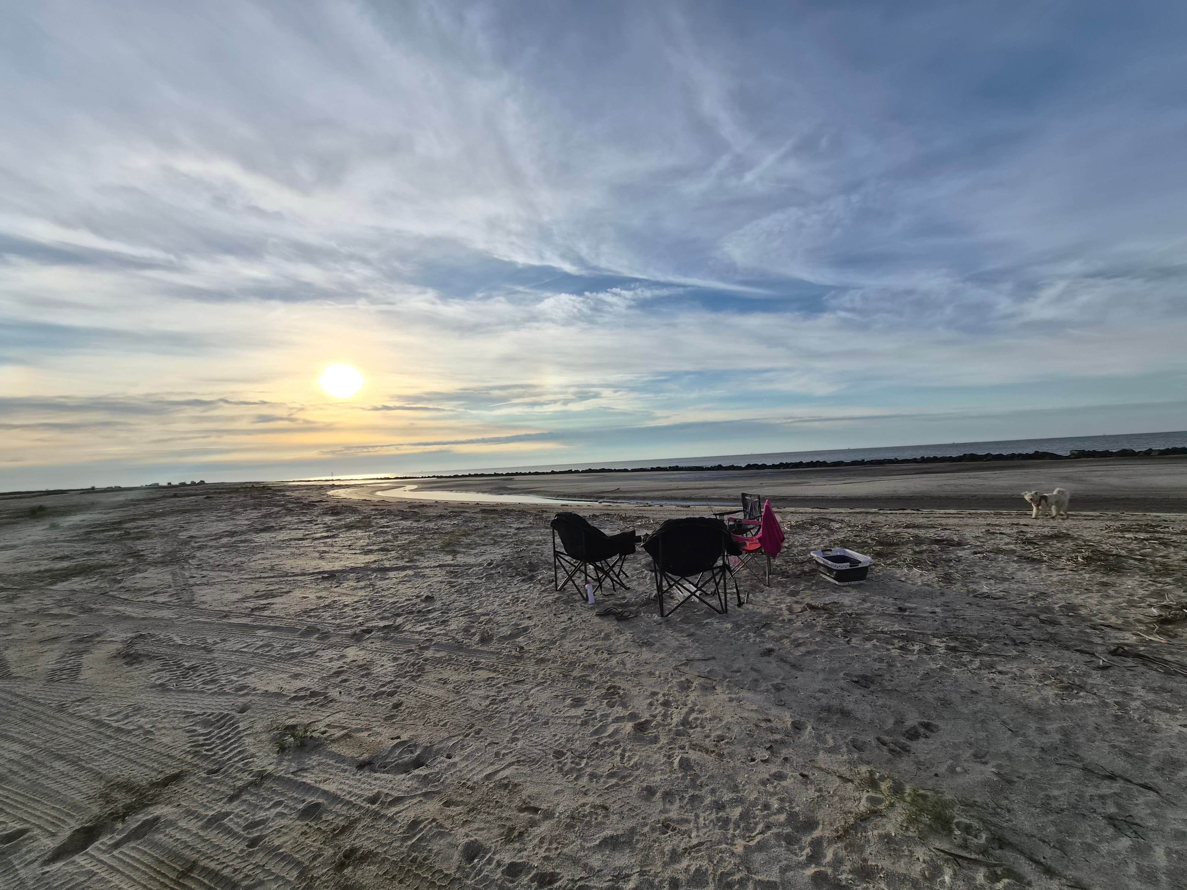 Nicole C.'s photo of camping with pets at Rutherford Beach Dispersed Camping in Louisiana