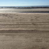 Review photo of Rutherford Beach Dispersed Camping by Krista S., December 11, 2025