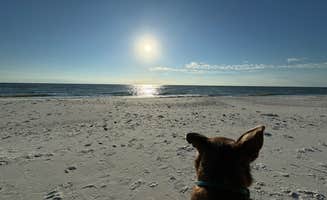 Joel P.'s photo of camping with pets at RV by the Sea near Port St. Joe, FL