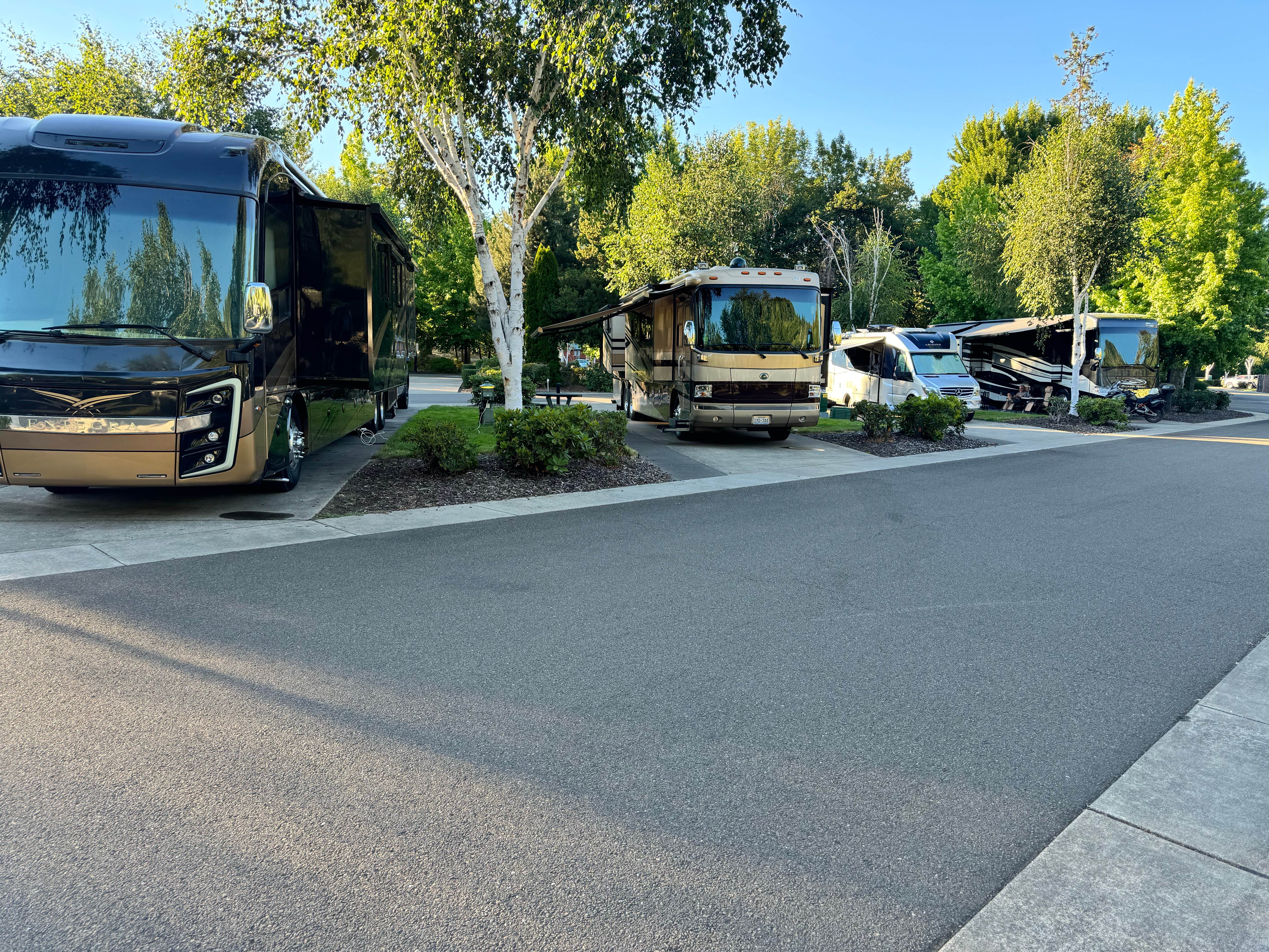 Matt C.'s photo of rv camping at Seven Feathers RV Resort near Umpqua National Forest