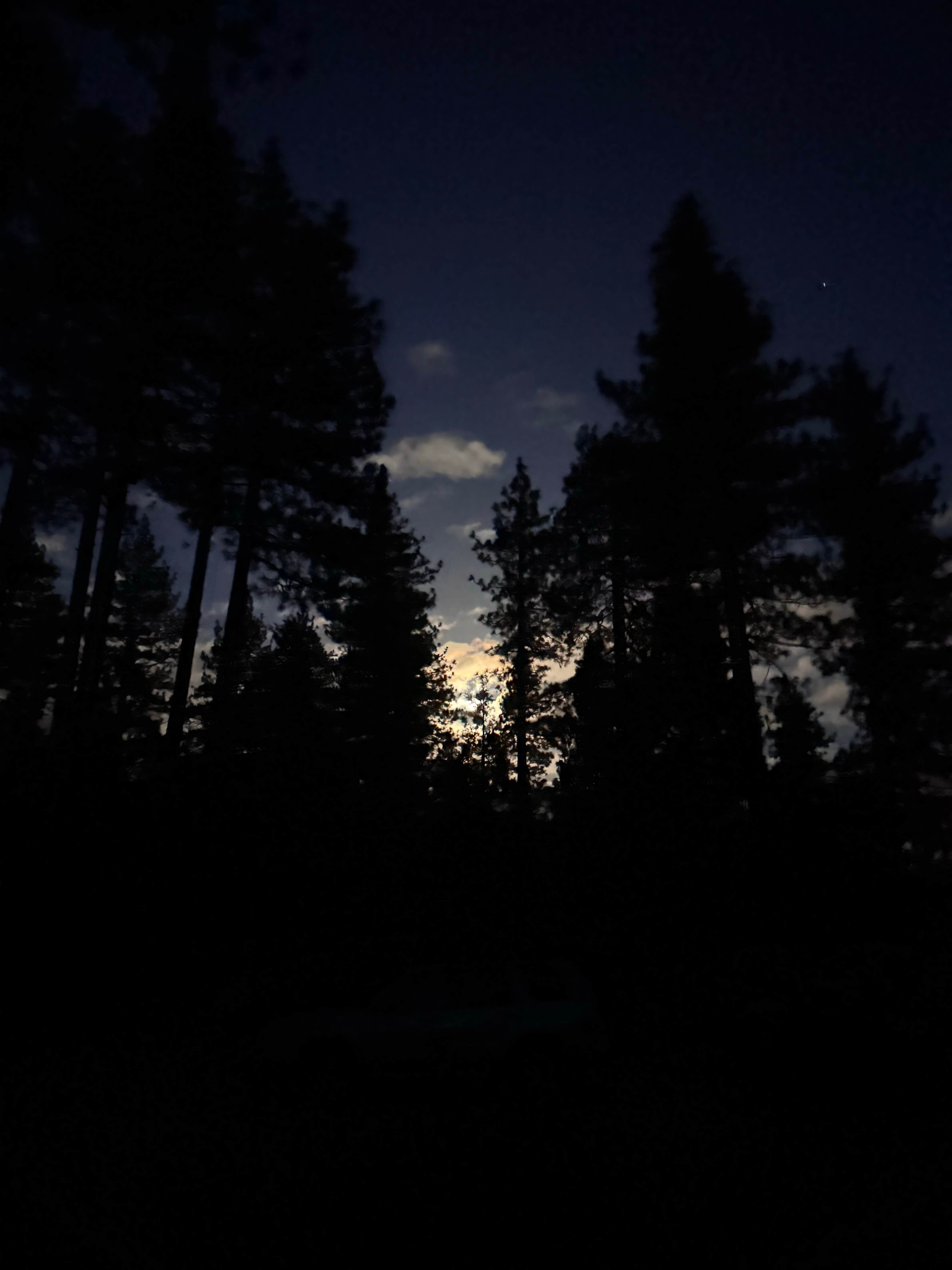 Camper-submitted photo at RV Village Campground At Camp Richardson Resort — Lake Tahoe Basin Management Unit near Yerington, NV