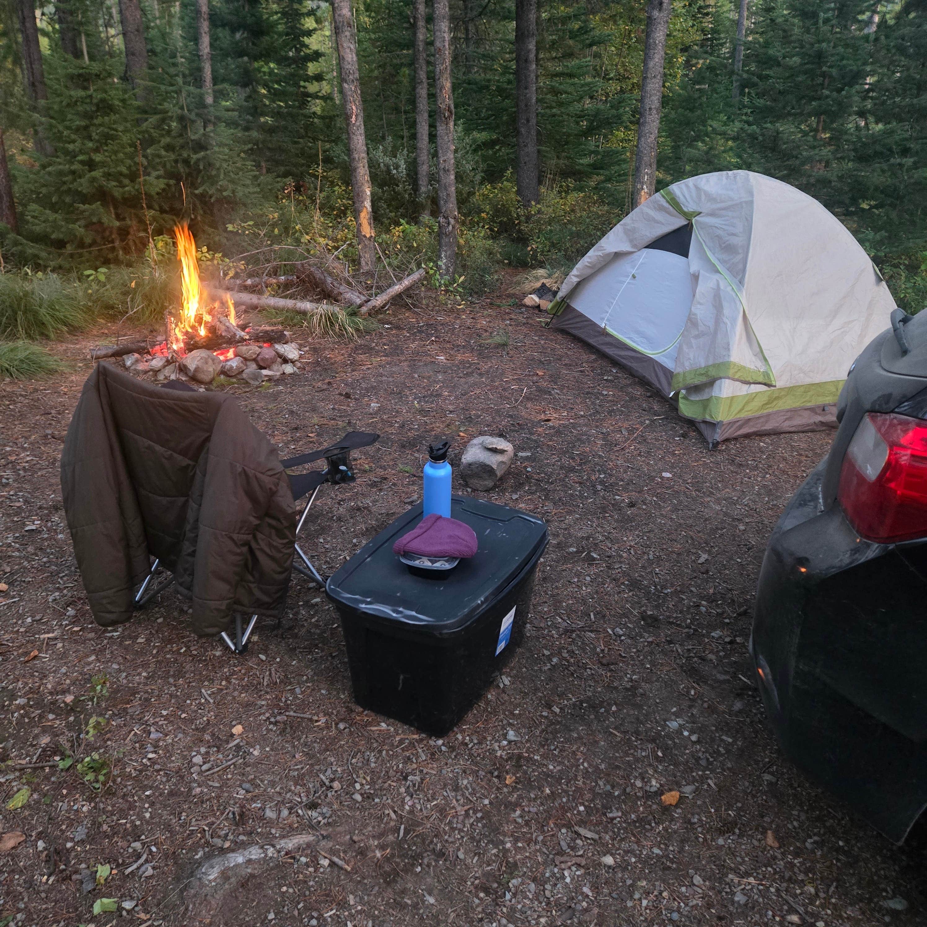 Camper-submitted photo at Ryan Road Dispered #2 near Glacier National Park