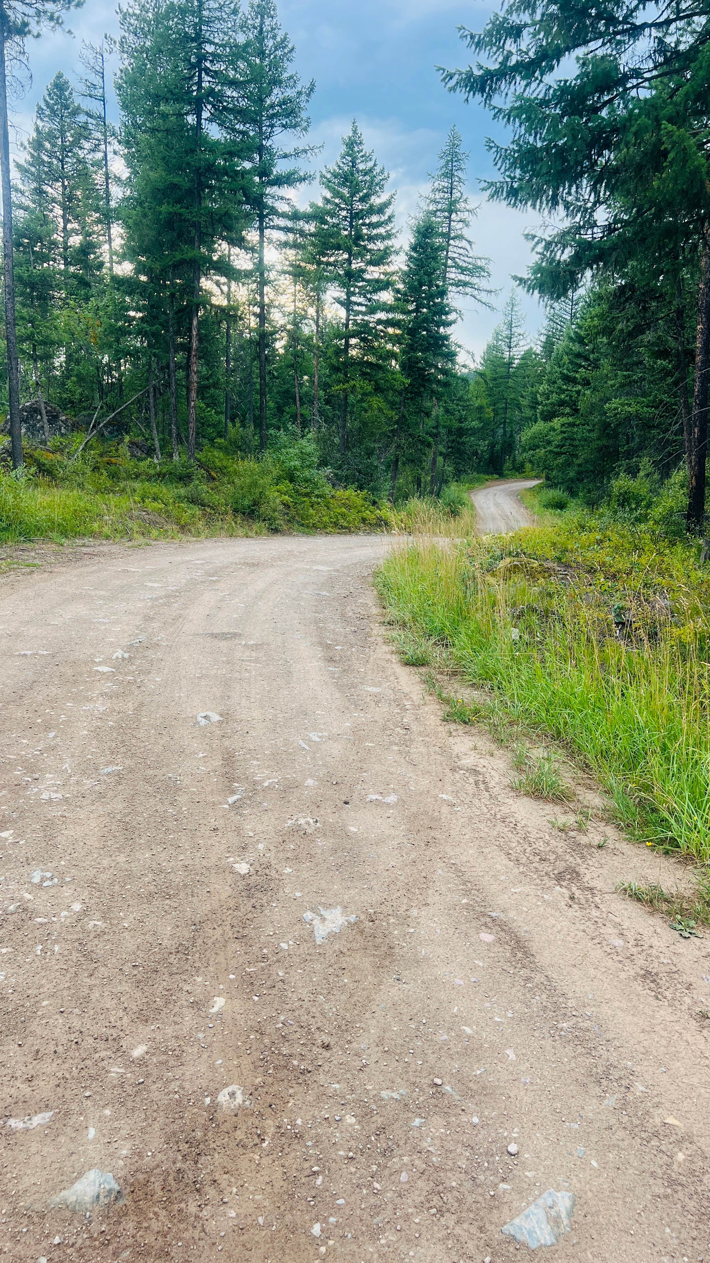 Camper-submitted photo at Ryan Road Dispered #2 near Hungry Horse, MT