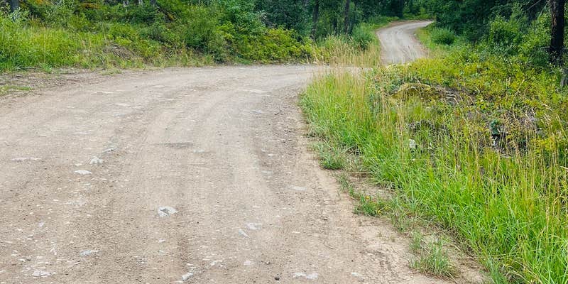 Camper submitted image from Ryan Road Dispered #2