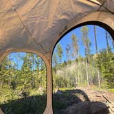 Review photo of Ryan Road Dispersed Camping by olivia V., July 5, 2026