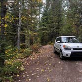 Review photo of Ryan Road Dispersed Camping by Tristan S., April 25, 2025