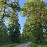 Review photo of Ryan Road Dispersed Camping by Liv H., July 2, 2026