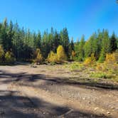 Review photo of Ryan Road Dispersed Camping by Shauna H., October 8, 2023