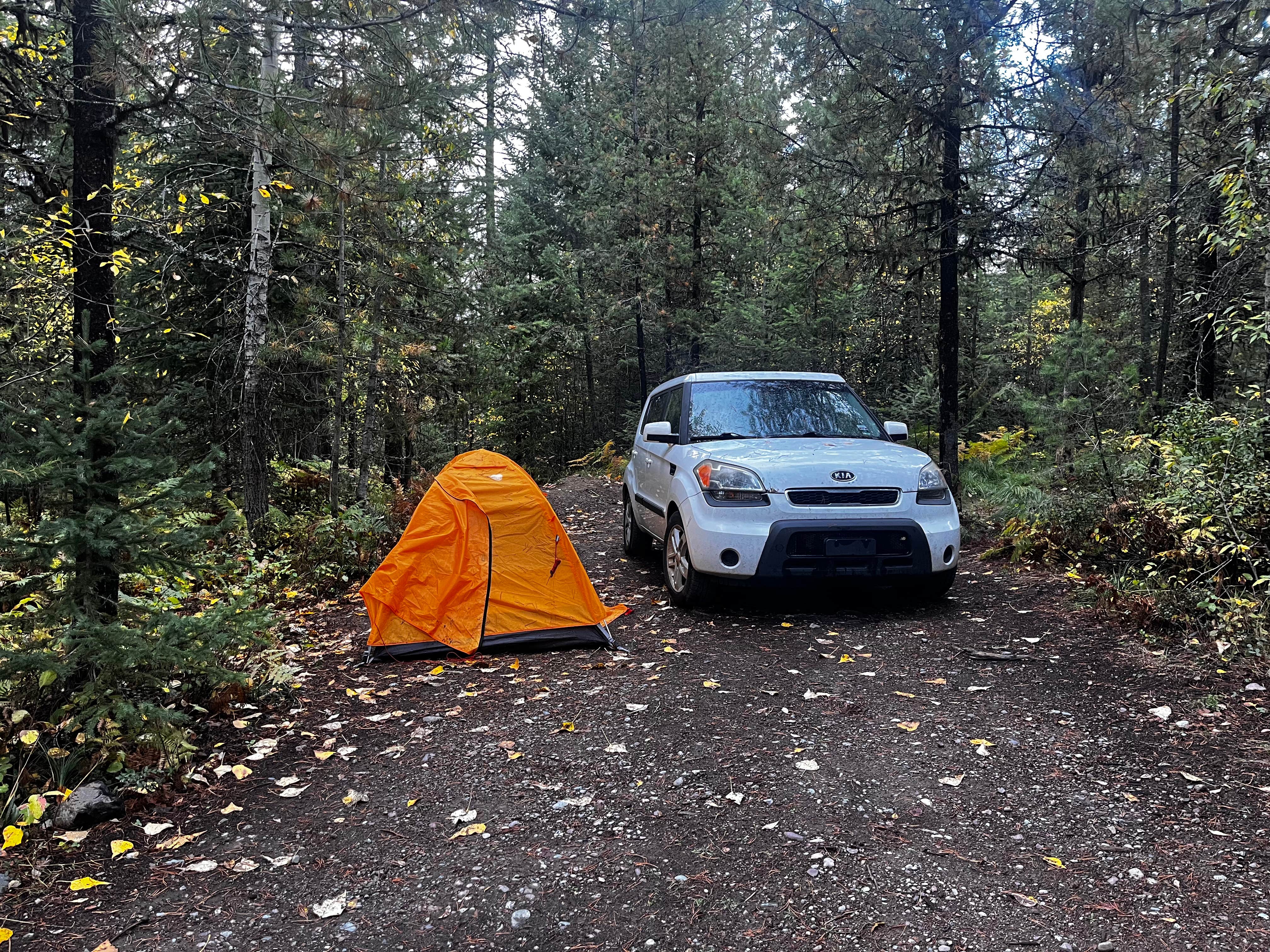 Tristan S.'s photo of a dispersed camping area at Ryan Road Dispersed Camping in Montana