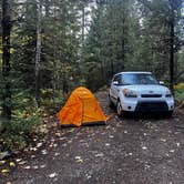 Review photo of Ryan Road Dispersed Camping by Tristan S., April 25, 2025