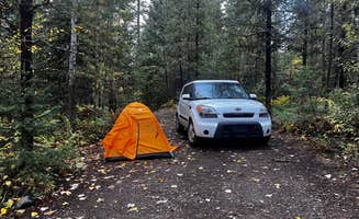Tristan S.'s photo of tent camping at Ryan Road Dispersed Camping near Martin City, MT