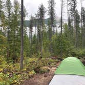 Review photo of Ryan Road Dispersed Camping by alexis , September 7, 2026
