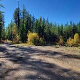 Review photo of Ryan Road Dispersed Camping by Shauna H., October 8, 2023