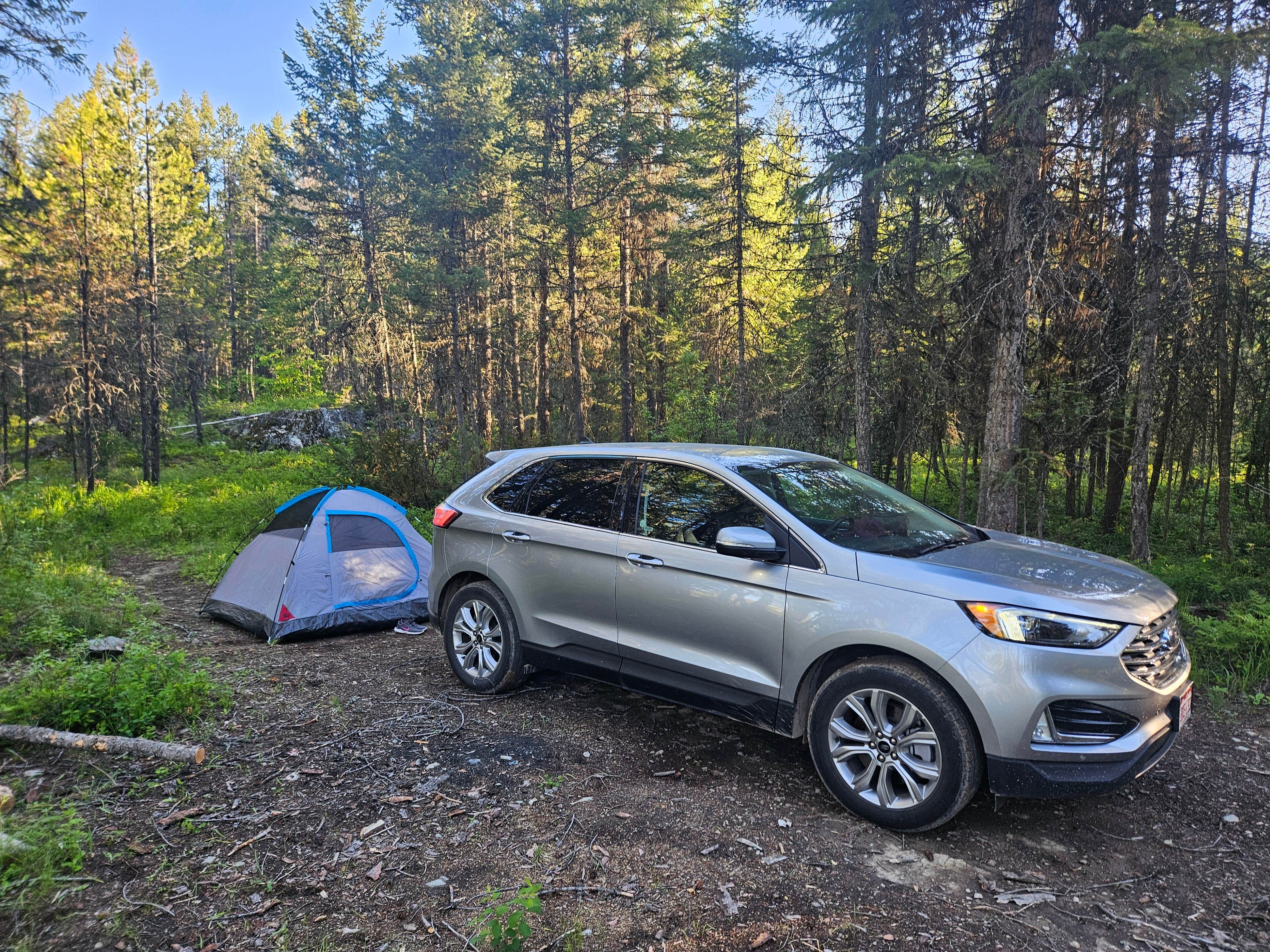 Camper-submitted photo at Ryan Road Dispersed Camping in Montana
