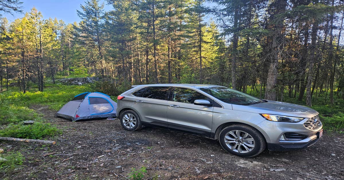 Ryan Road Dispersed Camping