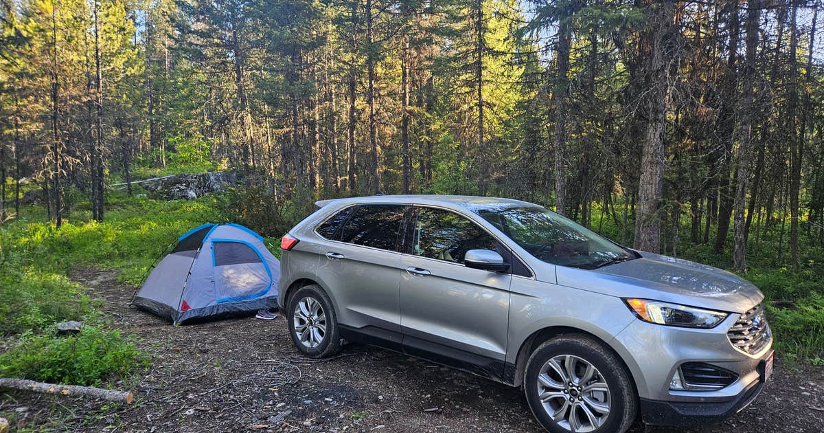 Ryan Road Dispersed Camping